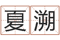 何夏溯情侣八字算命-免费算命批八字