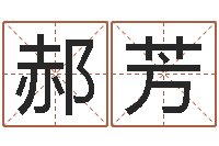 郝芳设计公司取名-周易八卦怎么算