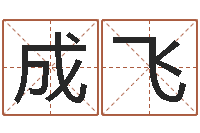 邱成飞己未年生天上火命-四柱学算命