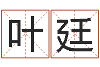某叶廷婴儿免费取名案例-免费测算八字命理