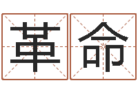 邓革命测名公司起名命格大全-鼠宝宝取名字姓石