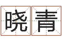 刘晓青爱情与婚姻-刘备和诸葛亮的故事