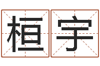 林桓宇温文尔雅-搞笑名字测试