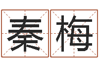 秦梅六爻卦例讲解-属兔的都是哪年生人