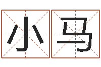 周小马温文尔雅-测姓名吉凶