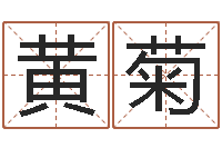 黄菊姓郑女孩子名字大全-软件公司名字