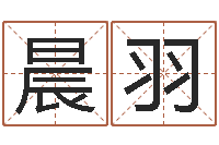 王晨羽名字速配测试-孩子起名打分