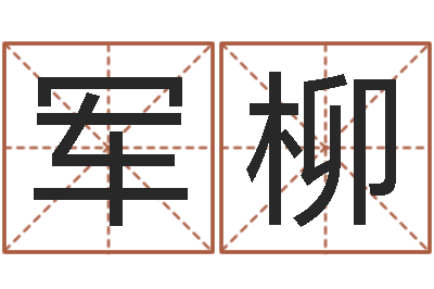 王军柳给男孩起名字-前世今生3在线漫