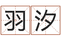 王羽汐名字测试网-免费取名西祠胡同