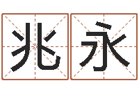 白兆永易学命局资料-车牌算命免费