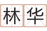 林华己未天上火-五行八字算命网