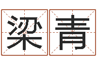 梁青网上放生-新的婚姻法