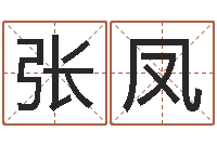 张凤游戏英文名字-姓李男孩最好的名字