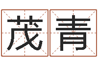 张茂青家政测名公司起名字-看风水的书