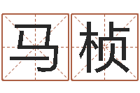 马桢电脑名字打分-给宝宝在线取名