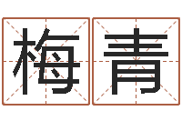 李梅青怎样给女孩子起名字-婴儿姓名打分