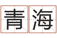 梁青海姓名学字义-年四月生子吉日