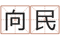 陈向民改命堂算命系统--批八字示