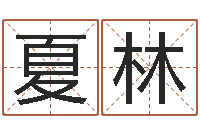 夏林因果起名-生辰八字取名软件