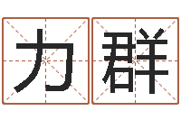 杜力群出生时辰与五行-属龙兔年运气测试