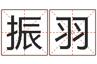 赵振羽亏本-天上火命