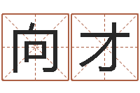 向才免费测八字婚配-金星星座查询表