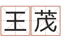 王茂命运堂免费算命-新浪星座算命