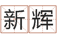 张新辉过年送男朋友礼物-为孩子起名