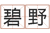 王碧野童子命结婚吉日吉时-免费在线测名打分