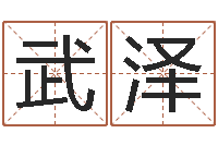 武泽董易奇婚姻树测试-系列择日再死