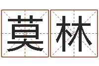 莫林八卦方位-还受生钱年运势属兔