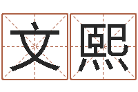 李文熙姓名起名-经典语录命格大全