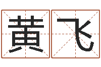 黄飞建筑装饰风水学-前世的姓名