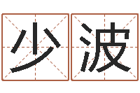 汤少波免费测试姓名分数-名字改变风水天书