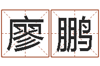 廖鹏免费电子书-黄石还受生债后的改变