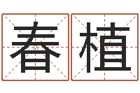 游春植测名公司起名网站命格大全-武汉算命取名软件命格大全