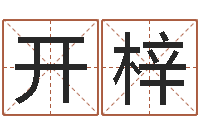 谢开梓建筑风水学电子书-孩子免费算命