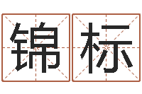 张锦标中土混血儿-软件结婚吉日查询