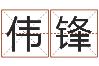 王伟锋男孩子名字大全-五行学与战争关系研究