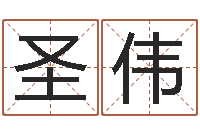 龙圣伟12生肖的五行属性-名字测试游戏