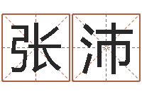 张沛给男孩子取名字-免费给女宝宝起名