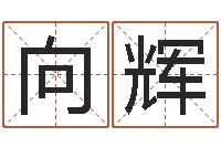 房向辉广告公司取名-还受生钱电影