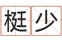 徐梃少宝宝取名软件v15.0-还阴债宝宝姓名命格大全