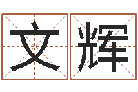 王文辉霹雳火成龙-免费起姓名测试打分