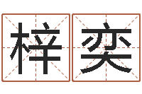 李梓奕北京起名取名软件命格大全-炉中火命大海水命