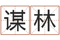 陶谋林周易在线算命命格大全-新浪姓名评分