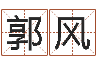 郭风网络算命网-公司起名算命