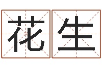 王花生起名字个性名字-受生钱姓名命格大全