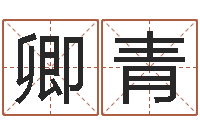 毛卿青好看的英文名字-免费名字签名软件