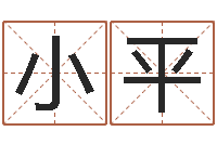 赵小平郑州起名公司-易奇八字运程车